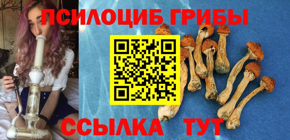 Псилоцибиновые грибы мухоморы  Вход с VPN  Тельмана 